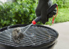 Щетка для чистки решетки Weber T Brush 30 см
